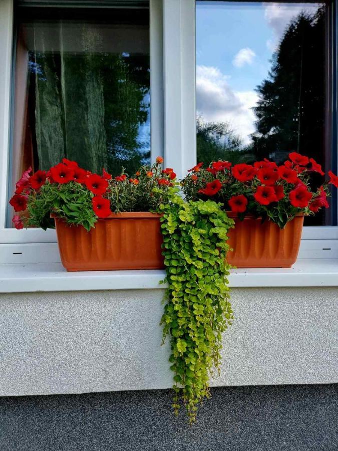 Haus Bierherr Мариацелль Экстерьер фото