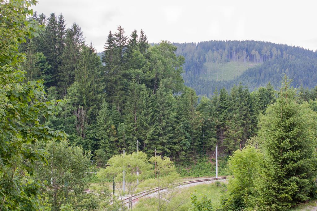 Haus Bierherr Мариацелль Экстерьер фото